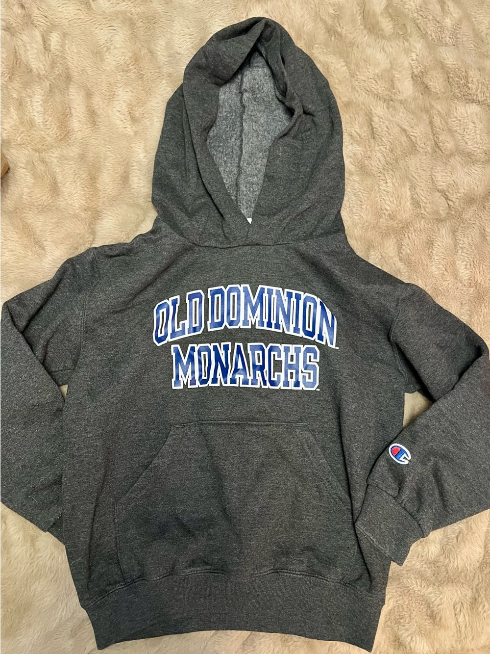 Old Dominion University Champion Youth Gray Hoodie with Blue Graphic